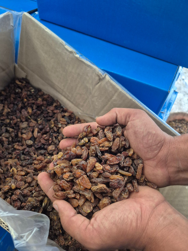 کشمش آفتابی _ آبگیری درجه یک